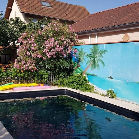 Appart Independant, 1 Lit Deux Personnes Et 1 Appoint Piscine Jardin Direct Gare Aeroport Et Jardin Toulouse Luaran gambar