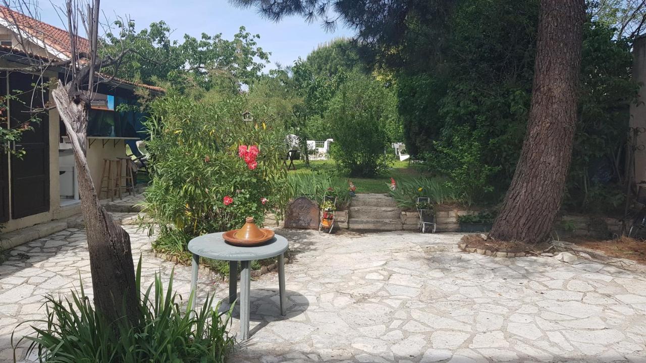 Appart Independant, 1 Lit Deux Personnes Et 1 Appoint Piscine Jardin Direct Gare Aeroport Et Jardin Toulouse Luaran gambar