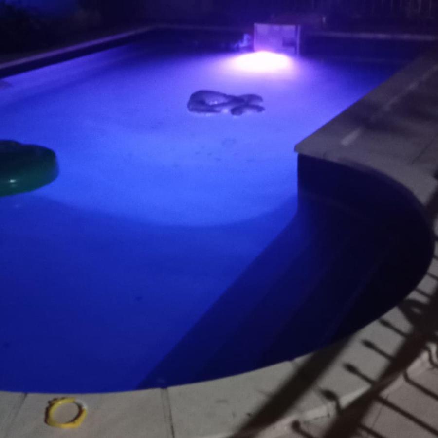 Appart Independant, 1 Lit Deux Personnes Et 1 Appoint Piscine Jardin Direct Gare Aeroport Et Jardin Toulouse Luaran gambar