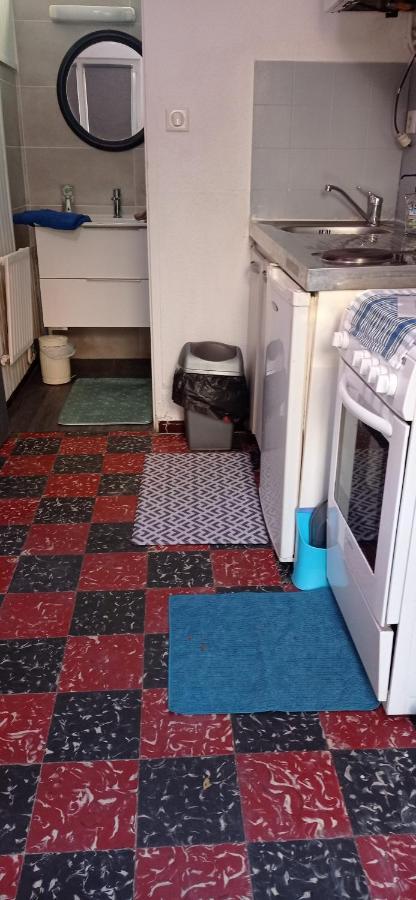 Appart Independant, 1 Lit Deux Personnes Et 1 Appoint Piscine Jardin Direct Gare Aeroport Et Jardin Toulouse Luaran gambar