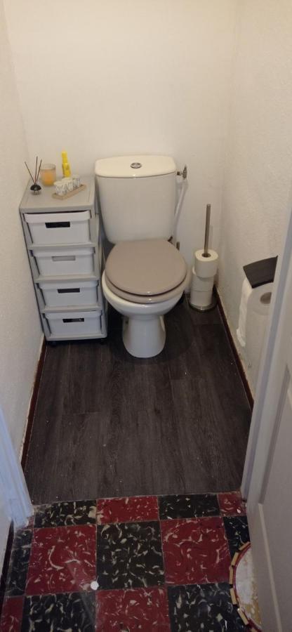 Appart Independant, 1 Lit Deux Personnes Et 1 Appoint Piscine Jardin Direct Gare Aeroport Et Jardin Toulouse Luaran gambar